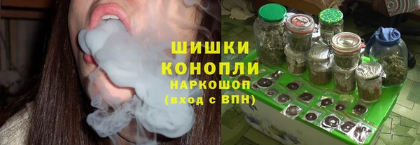 тгк Лиски
