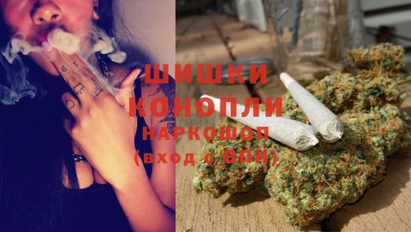 молекула духа Липки