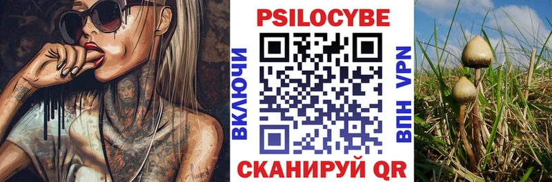 Купить закладки  Сим  Галлюциногенные грибы GOLDEN TEACHER 